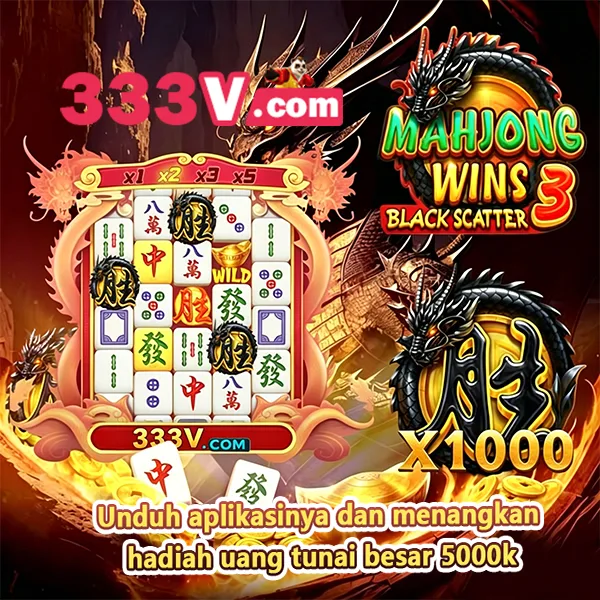 333V